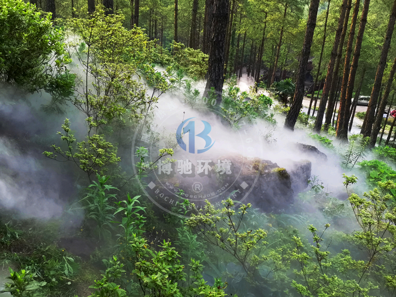 1646207590190617.jpg 9.jpg